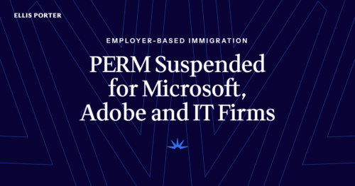 Professional reviewing news of the Department of Labor PERM suspension for major technology employers.
